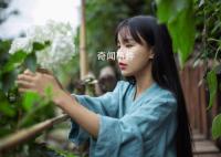 李子柒油管广告收益 每月视频播放量依旧能产生广告收益785320元