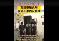 西安粮食局原局长出逃不到2个月落网 李西安个人资料简介