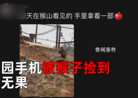 猴子捡走游客手机还接了电话 会接电话还会挂断电话
