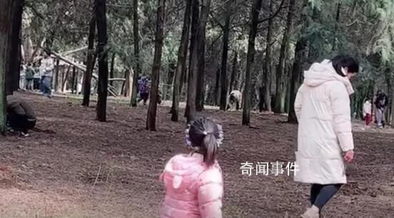 上百人进山挖黄金?官方:挖的是昆虫