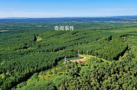 中国为世界交出“绿色答卷” 中国每年造林面积都在1亿亩以上