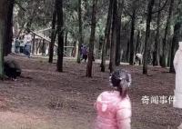 上百人进山挖黄金?官方:挖的是昆虫