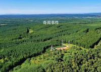 中国为世界交出“绿色答卷” 中国每年造林面积都在1亿亩以上