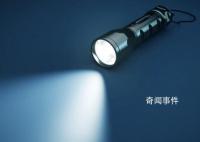 男子用手电筒吓死1100只鸡获刑 被判处有期徒刑六个月缓刑一年