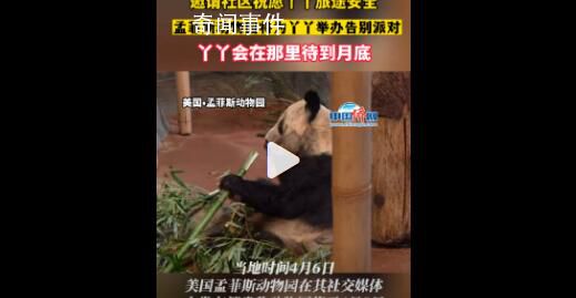 孟菲斯动物园将为丫丫举办告别派对 丫丫会在那里待到月底