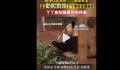 孟菲斯动物园将为丫丫举办告别派对 丫丫会在那里待到月底