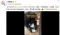 黑猩猩吃完饭主动到水池里洗盘子 网友：原来是只自律猩