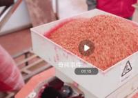 智慧育秧正当时 电力保障助春耕