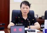 凌娅投案背后:曾恐吓举报人并涉吸毒