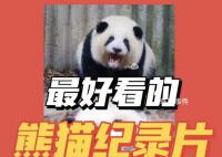 国宝熊猫回家记 保护濒危野生动物是全社会的责任