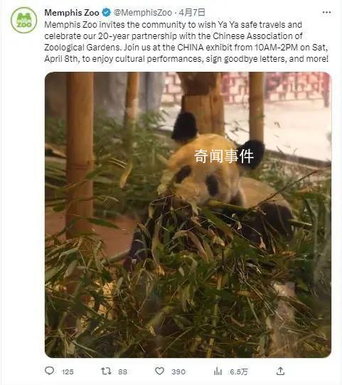 丫丫正式移交中方 正在讨论后续合作