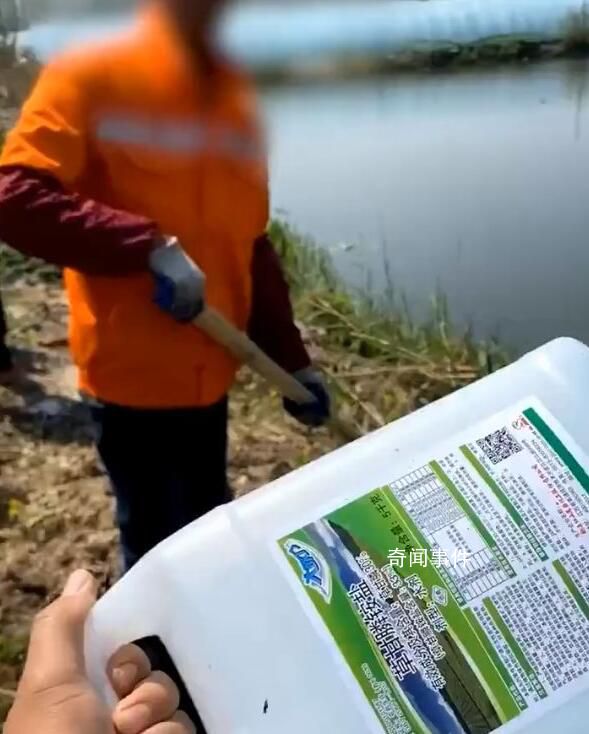 河道管理员疑除草毒死菜农70亩菜 事件引起了菜农们的极大不满