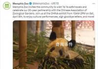 丫丫正式移交中方 正在讨论后续合作