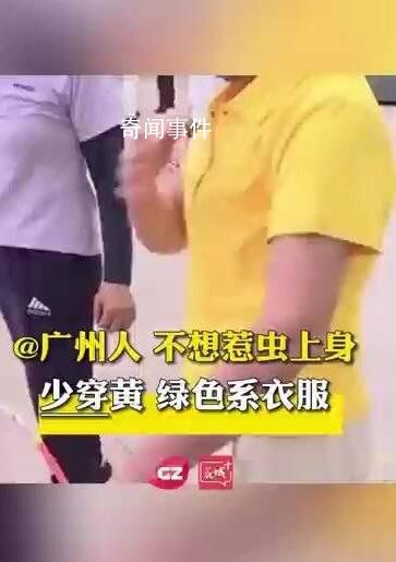 广东人最近穿黄色绿色衣服要留心 一大波蓟马即将到达广东