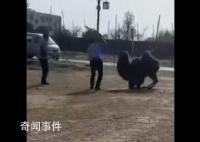 景区骆驼被轮番棒打屈膝求饶 嘴巴被打肿流血
