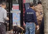 野猪冲进彩票店被5只猎犬制服 将店主吓得夺门而逃