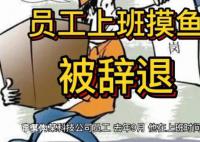 员工上班摸鱼被辞退 上班时间因浏览与工作无关的网页