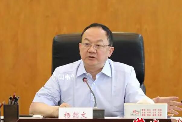 去美国赌博的市委原书记出镜忏悔 杨懿文个人资料简介