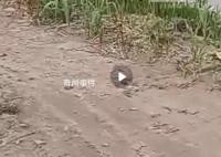 村民称交万元铺路费8年还未修成 村干部：当年钱没收齐