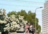 女生为拍网红照爬到核酸屋顶 为了拍照这也太拼了吧