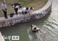 勇救落水女子黑衣侠是政法委干部 王彦辉个人资料简介