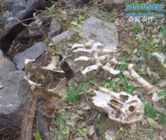 河南焦作封门村灵异事件 封门村到底发生了什么事 封门村闹鬼是真的吗