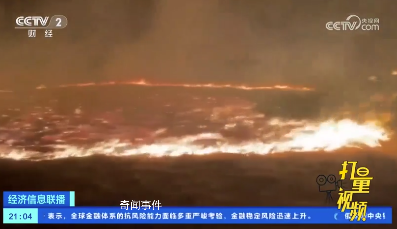 蒙古国发生草原火灾 烧死大量牲畜