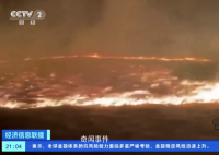 蒙古国发生草原火灾 烧死大量牲畜
