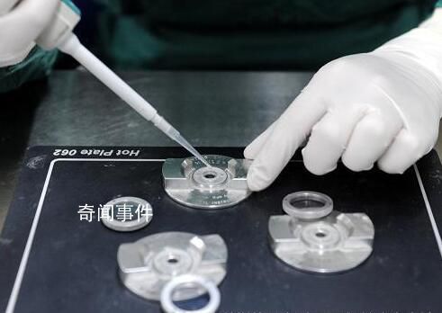 专家解读未婚女性不能申请精子库 为了保护社会秩序和家庭伦理