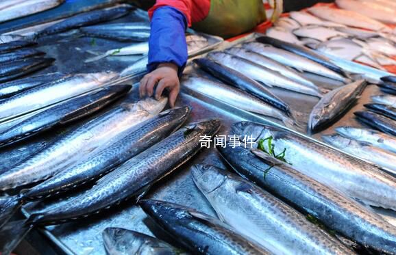 青岛辟谣海水被污染海鲜不能吃 请广大网友关注官方信息不造谣不信谣不传谣