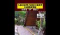 雨后春笋2天长30厘米顶翻木桌 雨后春笋为什么长得那么高
