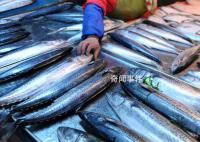 青岛辟谣海水被污染海鲜不能吃 请广大网友关注官方信息不造谣不信谣不传谣