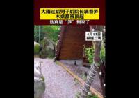 雨后春笋2天长30厘米顶翻木桌 雨后春笋为什么长得那么高