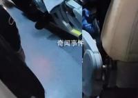 威胁要和游客干到底的导游被罚 罚款2万元暂扣导游证6个月