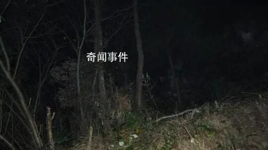 权威人士回应村民疑被当猎物遭枪击 案件正在侦查阶段嫌疑人已被控制