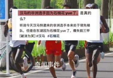 官方辟谣石楠花影响选手成绩 目前没有选手反映此情况