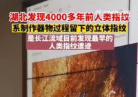 湖北发现4000多年前人类指纹 是长江流域目前所见最早的人类指纹遗迹