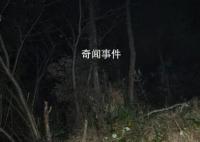 权威人士回应村民疑被当猎物遭枪击 案件正在侦查阶段嫌疑人已被控制