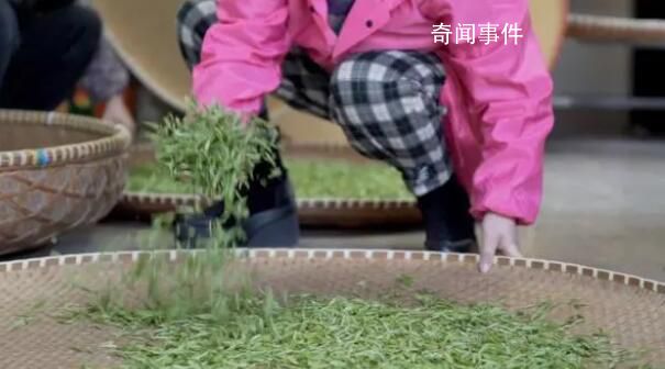一路鲜花一路歌 春日经济暖意浓