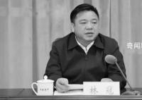 广西钦州市委书记林冠猝死 林冠个人资料简介