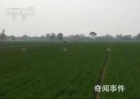 高标准农田建设有序推进 今年启动老项目区农田设施改造提升