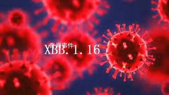 国家疾控局回应XBB.1.16流行情况 什么是XBB.1.16变异株