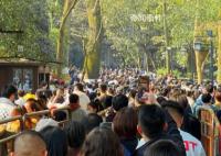 当下年轻人的寺庙经济 90后00后占比近50%