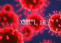 国家疾控局回应XBB.1.16流行情况 什么是XBB.1.16变异株
