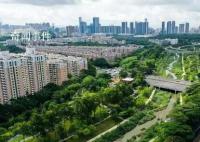 深圳二手房贷或将与参考价脱钩 一季度热点楼盘均以低于或接近参考价成交