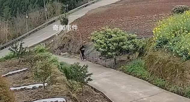 女子乘奔驰下乡顺走一只鸭子 因涉嫌盗窃已被警方依法处理