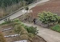 女子乘奔驰下乡顺走一只鸭子 因涉嫌盗窃已被警方依法处理