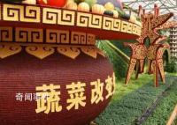 中国“菜篮子”科技含量更足 100多项新技术