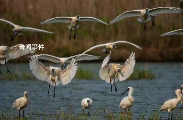 一山一水皆画卷 绿色发展带来美好生活