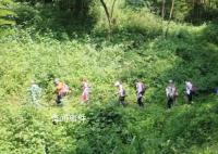 网传3人在四川一林场服毒自杀 背后真相太可怕了